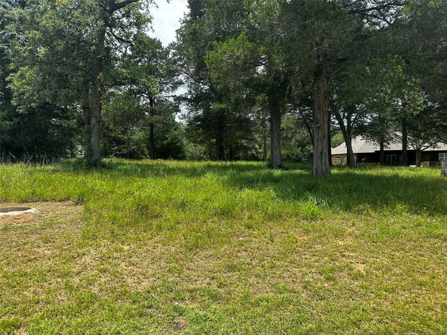 0 N Falls Dr, New Ulm TX, 78950 land for sale