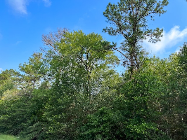 00 Fm 2989, Huntsville TX, 77320 land for sale