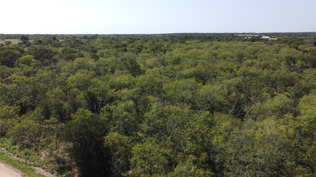 Listing photo 3 for 5393 Elm Creek Rd, Waelder TX 78959