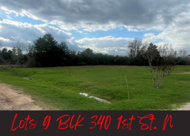 LOT9BLK340 1st St N, Hempstead TX, 77445 land for sale