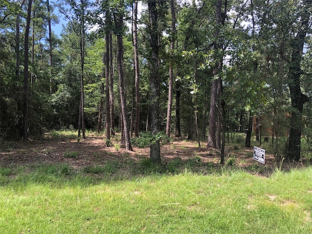 Listing photo 2 for LOT56 N Walnut Dr, Trinity TX 75862