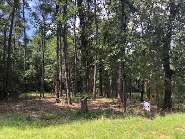 Listing photo 3 for LOT56 N Walnut Dr, Trinity TX 75862