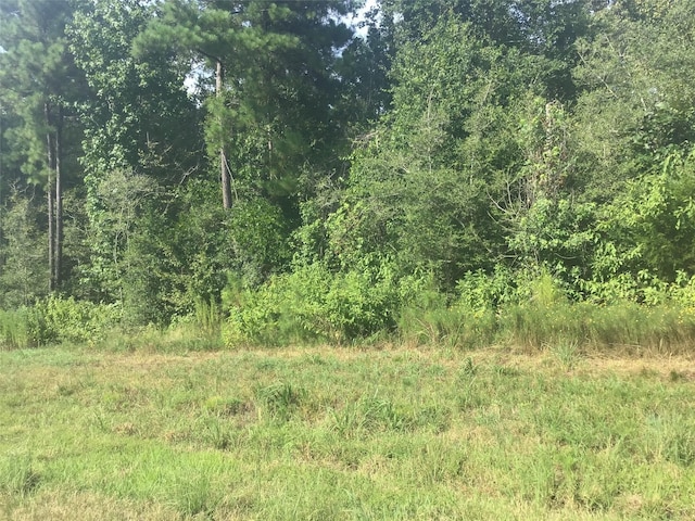 7-23-83 Sky Oak Ln, Huntsville TX, 77340 land for sale