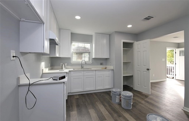 kitchen with dark hardwood / wood-style flooring, sink, and white cabinetry