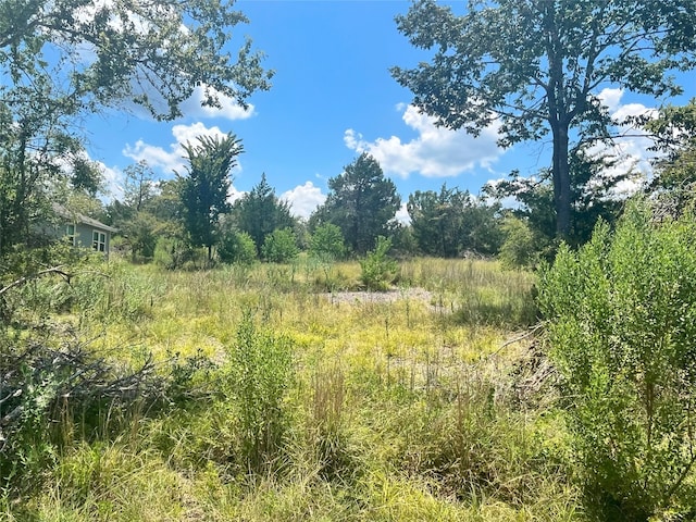 262 N Forest Cove Loop, Coldspring TX, 77331 land for sale