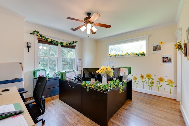 420 Heights Blvd, Houston, TX 77007 - home office featuring ceiling fan, light wood finished floors, and ornamental molding