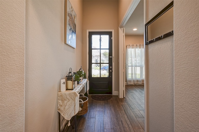 doorway with dark hardwood / wood-style flooring