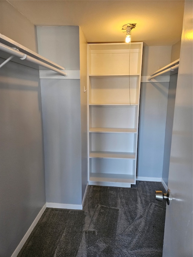 spacious closet featuring dark colored carpet