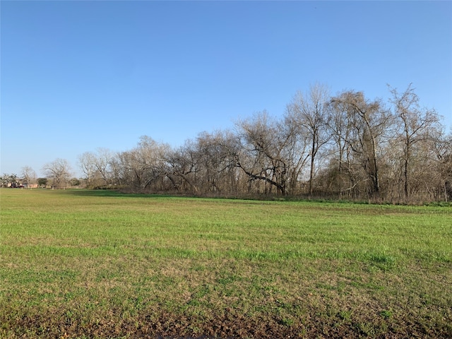 Listing photo 2 for 16635 Pecan Fall Ct, Rosharon TX 77583