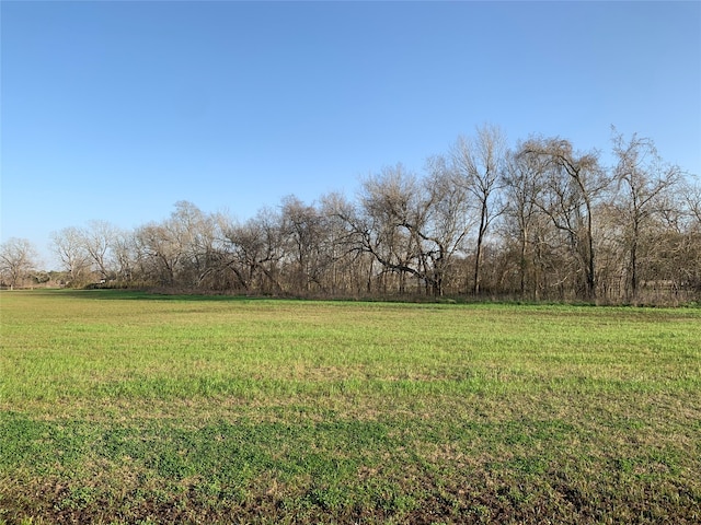 Listing photo 3 for 16635 Pecan Fall Ct, Rosharon TX 77583