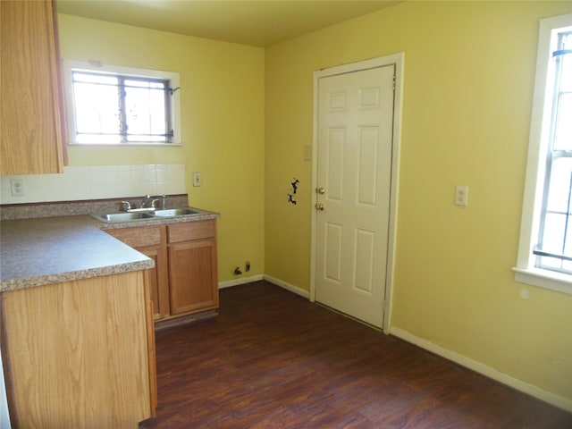 kitchen with plenty of natural light, dark hardwood / wood-style floors, and sink