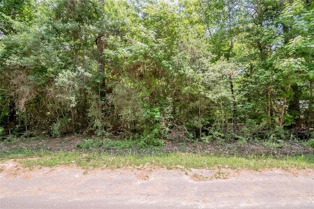 Listing photo 2 for LOT030 Hawk Ln, Trinity TX 75862