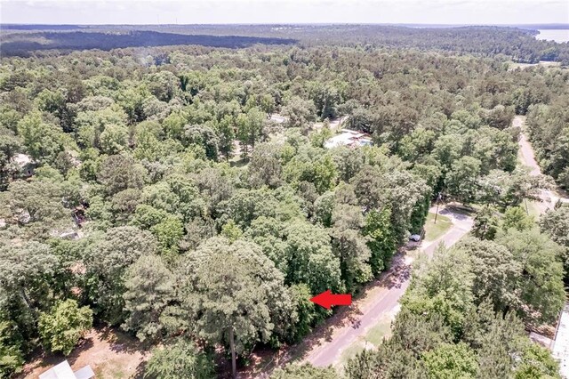 LOT029 Hawk Ln, Trinity, TX 75862 - photo 1