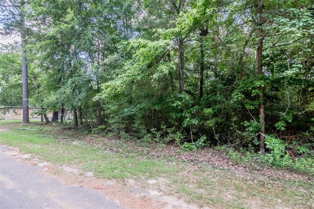LOT029 Hawk Ln, Trinity, TX 75862 - photo 4