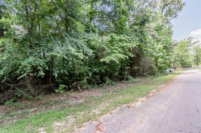 LOT029 Hawk Ln, Trinity, TX 75862 - photo 5