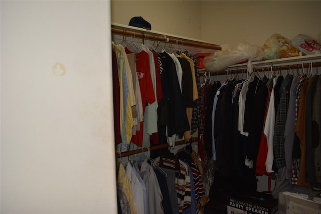 view of walk in closet