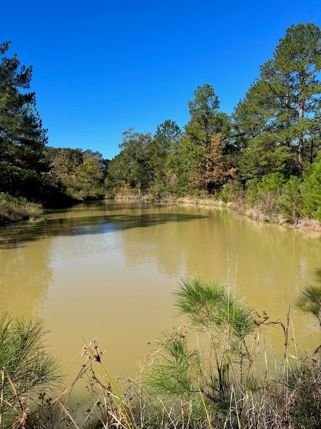 31517 Bohlssen Rd, New Caney TX, 77357 land for sale