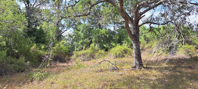 0 County Road 284, Edna TX, 77957 land for sale