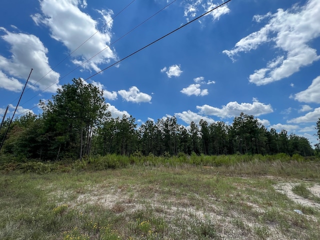 0 County Road 1325, Warren, TX 77664 - photo 2