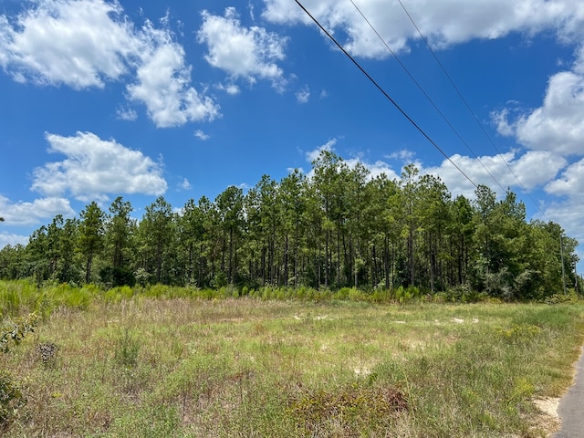 0 County Road 1325, Warren, TX 77664 - photo 3