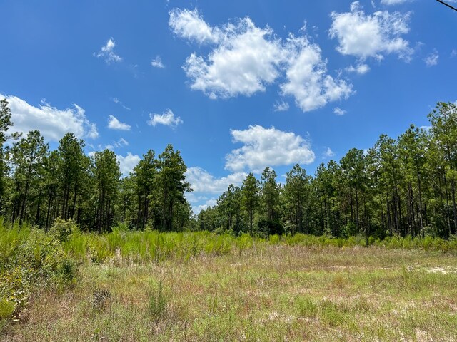 0 County Road 1325, Warren, TX 77664 - photo 4