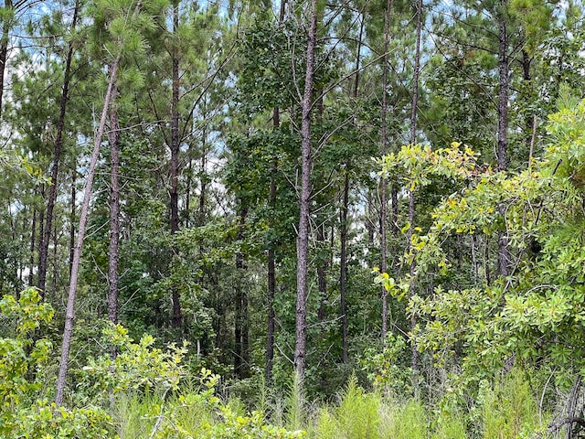 0 County Road 1325, Warren, TX 77664 - photo 9