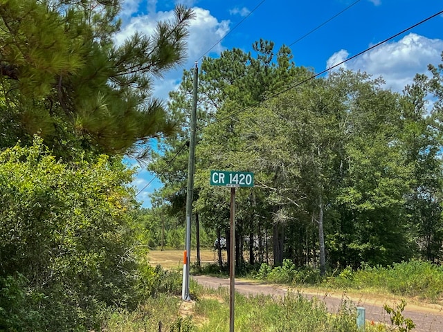 0 County Road 1325, Warren, TX 77664 - photo 12