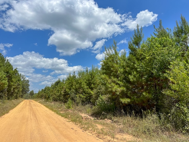 0 County Road 1325, Warren, TX 77664 - photo 13
