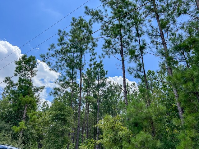 02 County Road 1420, Warren, TX 77664 - photo 5