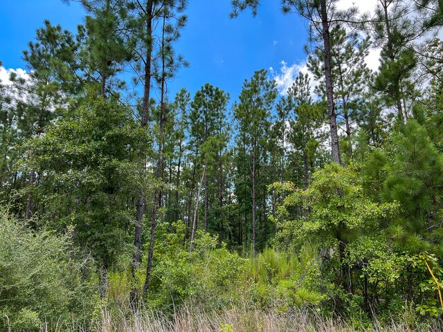 02 County Road 1420, Warren, TX 77664 - photo 6