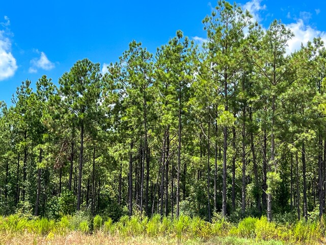 02 County Road 1420, Warren, TX 77664 - photo 10
