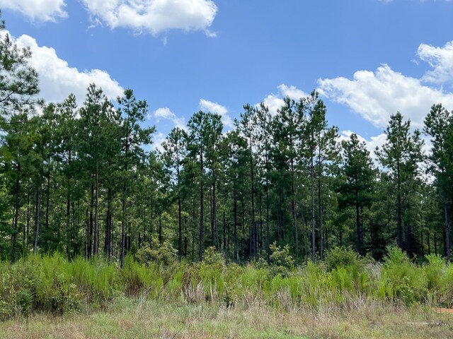 02 County Road 1420, Warren, TX 77664 - photo 15