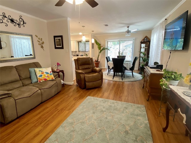 living room featuring light hardwood / wood-style floors, ceiling fan, and crown molding