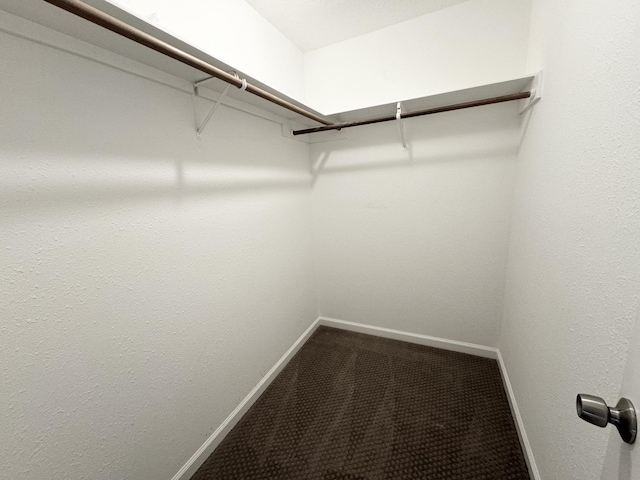 walk in closet with carpet