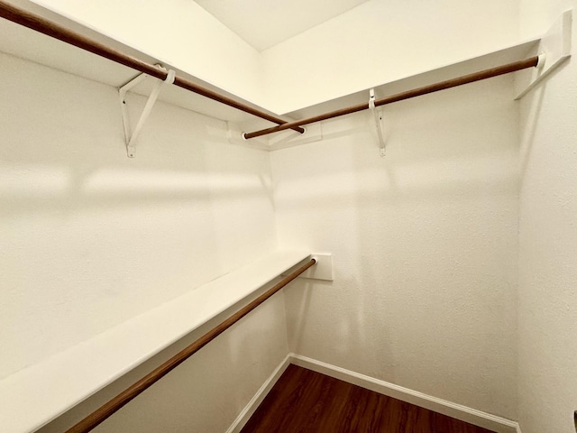 spacious closet featuring dark hardwood / wood-style flooring