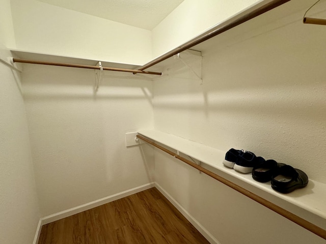 spacious closet with dark hardwood / wood-style floors