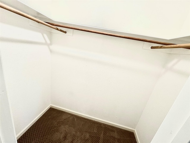 36 Corkwood Rd, Trinity, TX 75862 - spacious closet with dark carpet