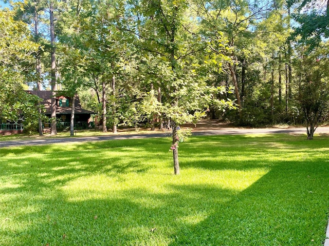 36 Corkwood Rd, Trinity, TX 75862 - view of yard