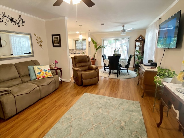 36 Corkwood Rd, Trinity, TX 75862 - living room with crown molding, wood finished floors, a ceiling fan, and visible vents