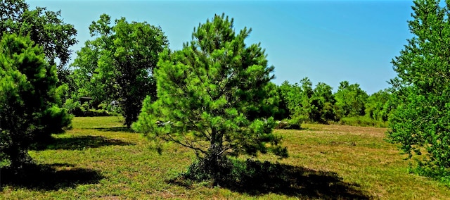 Listing photo 3 for 0 Fm 1960th Rd E, Huffman TX 77336