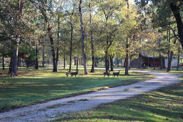 view of community featuring a lawn