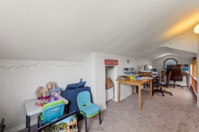 interior space with light carpet, a textured ceiling, and vaulted ceiling