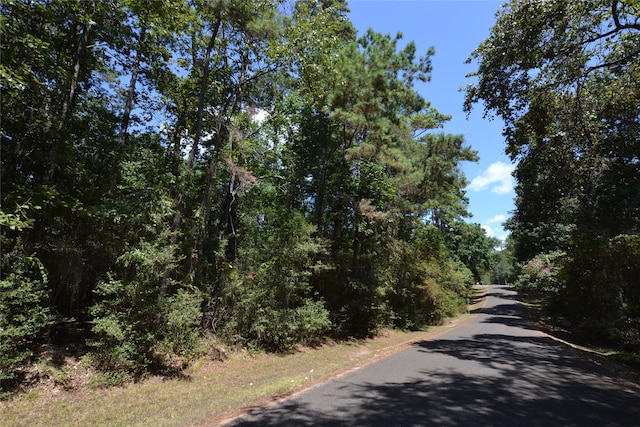 Listing photo 2 for TBD Rals Dr, Onalaska TX 77360