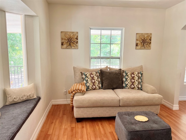 living room with light wood-type flooring