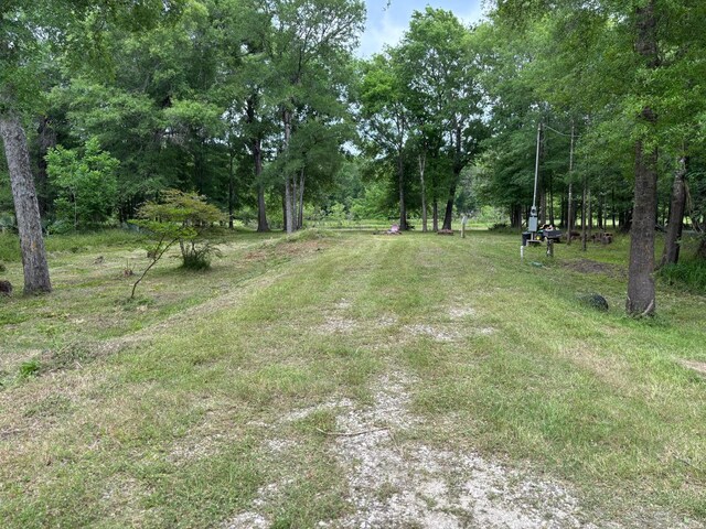 503 Sour Lake Cir, Cleveland, TX 77327 - photo 5