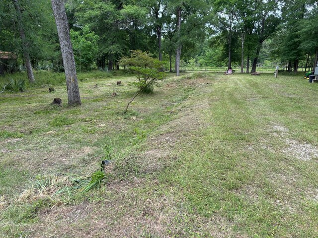 503 Sour Lake Cir, Cleveland, TX 77327 - photo 6