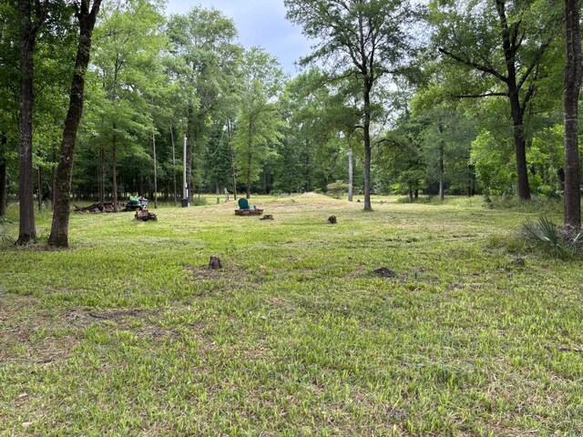 503 Sour Lake Cir, Cleveland, TX 77327 - photo 2