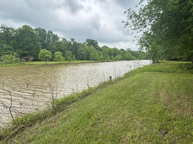 503 Sour Lake Cir, Cleveland, TX 77327 - photo 7