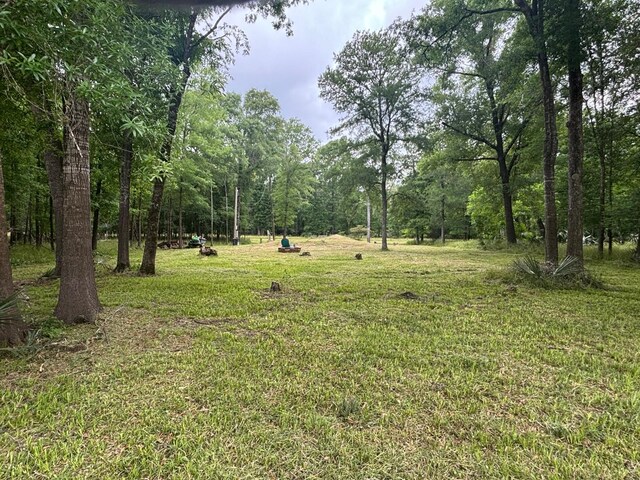 503 Sour Lake Cir, Cleveland, TX 77327 - photo 8