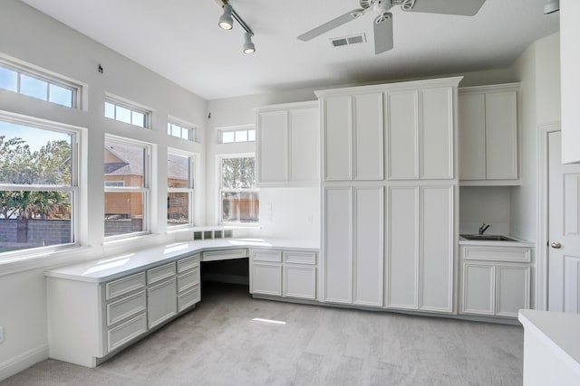 unfurnished office with a healthy amount of sunlight, sink, light colored carpet, and track lighting